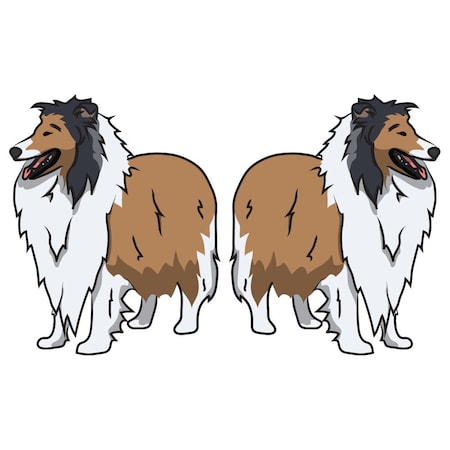 Signmission Collie Dog Decal, Dog Lover Decor Vinyl Sticker D-24-Collie